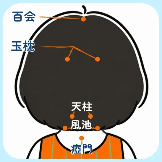 百会・玉枕・天柱・風池・瘂門の位置